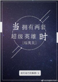 （综英美同人）当拥有两套超级英雄时[综英美] 